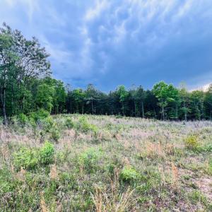 Photo #6 of Wards Rd, Altavista, VA 9.4 acres
