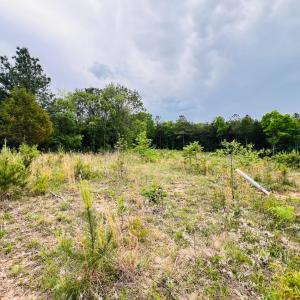 Photo #3 of Wards Rd, Altavista, VA 9.4 acres