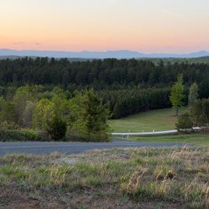 Photo #6 of Gardner Farm Road, Appomattox, VA 5.8 acres