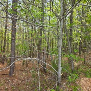 Photo #8 of Gardner Farm Road, Appomattox, VA 5.8 acres