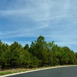 Photo #1 of Commonwealth Drive, Madison Heights, VA 2.5 acres