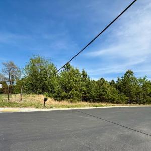 Photo #3 of Commonwealth Drive, Madison Heights, VA 2.5 acres