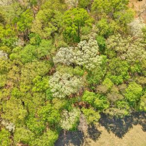 Photo #3 of Old Barn Road, Moneta, VA 0.9 acres
