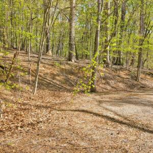 Photo #1 of Old Barn Road, Moneta, VA 0.9 acres