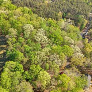 Photo #5 of Old Barn Road, Moneta, VA 0.9 acres