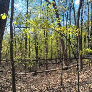 Photo #10 of Rockfish Heights, Nellysford, VA 4.7 acres