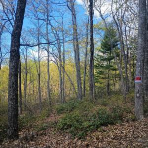 Photo #3 of Rockfish Heights, Nellysford, VA 4.7 acres