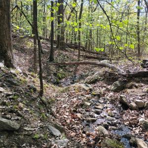 Photo #17 of Rockfish Heights, Nellysford, VA 4.7 acres