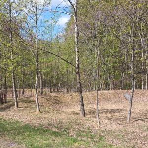 Photo #32 of Rockfish Heights, Nellysford, VA 4.7 acres