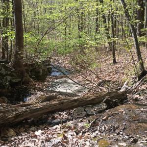 Photo #21 of Rockfish Heights, Nellysford, VA 4.7 acres