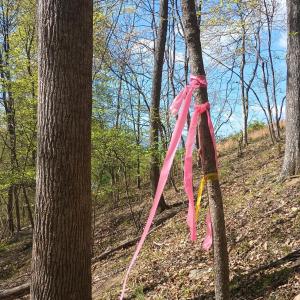 Photo #27 of Rockfish Heights, Nellysford, VA 4.7 acres