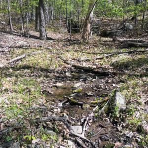 Photo #20 of Rockfish Heights, Nellysford, VA 4.7 acres