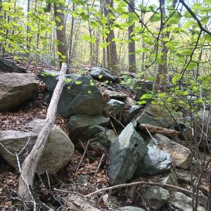 Photo #30 of Rockfish Heights, Nellysford, VA 4.7 acres