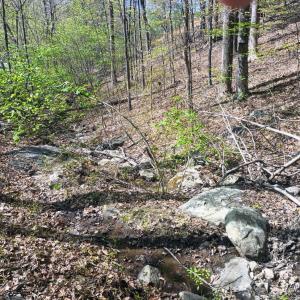 Photo #24 of Rockfish Heights, Nellysford, VA 4.7 acres