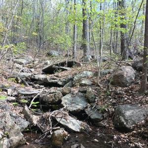 Photo #16 of Rockfish Heights, Nellysford, VA 4.7 acres