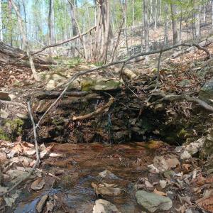 Photo #14 of Rockfish Heights, Nellysford, VA 4.7 acres