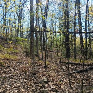 Photo #11 of Rockfish Heights, Nellysford, VA 4.7 acres