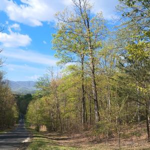 Photo #1 of Rockfish Heights, Nellysford, VA 4.7 acres