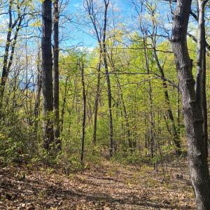 Photo #8 of Rockfish Heights, Nellysford, VA 4.7 acres