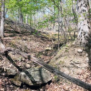 Photo #13 of Rockfish Heights, Nellysford, VA 4.7 acres