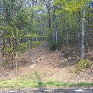 Photo #2 of Rockfish Heights, Nellysford, VA 4.7 acres