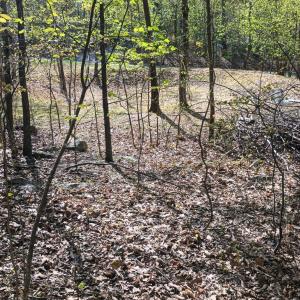 Photo #25 of Rockfish Heights, Nellysford, VA 4.7 acres