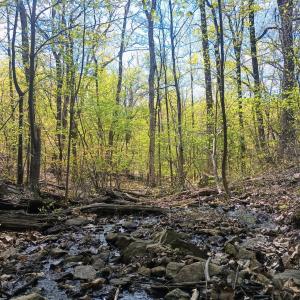 Photo #19 of Rockfish Heights, Nellysford, VA 4.7 acres