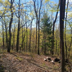 Photo #5 of Rockfish Heights, Nellysford, VA 4.7 acres