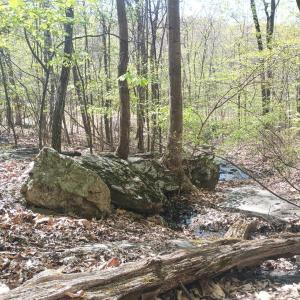 Photo #22 of Rockfish Heights, Nellysford, VA 4.7 acres