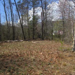 Photo #2 of 5 Logan Place, Nellysford, VA 1.2 acres