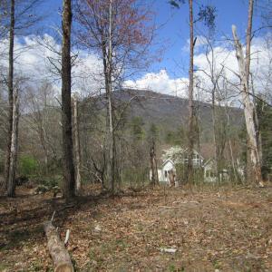 Photo #1 of 5 Logan Place, Nellysford, VA 1.2 acres