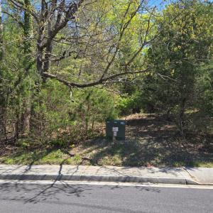 Photo #1 of Bridge Street, Farmville, VA 0.1 acres