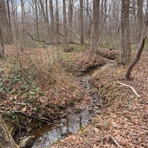 Photo #3 of Howards Manor Drive, Rustburg, VA 4.2 acres