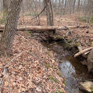 Photo #2 of Howards Manor Drive, Rustburg, VA 4.2 acres