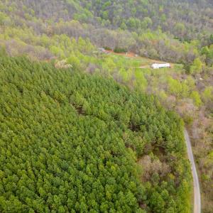 Photo #37 of Wares Gap Road, Monroe, VA 69.2 acres