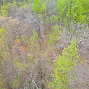 Photo #7 of Wares Gap Road, Monroe, VA 69.2 acres