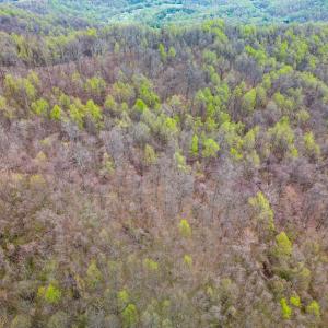 Photo #21 of Wares Gap Road, Monroe, VA 69.2 acres