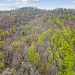 Photo #31 of Wares Gap Road, Monroe, VA 69.2 acres