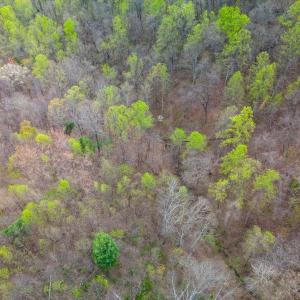 Photo #28 of Wares Gap Road, Monroe, VA 69.2 acres