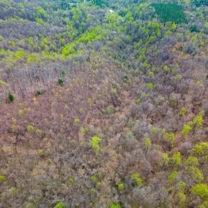 Photo #22 of Wares Gap Road, Monroe, VA 69.2 acres