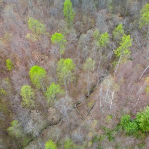 Photo #29 of Wares Gap Road, Monroe, VA 69.2 acres