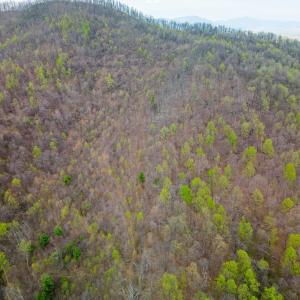 Photo #14 of Wares Gap Road, Monroe, VA 69.2 acres