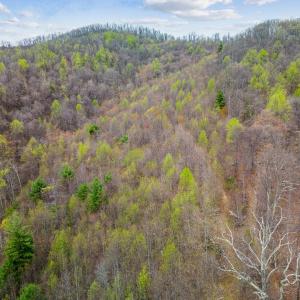 Photo #12 of Wares Gap Road, Monroe, VA 69.2 acres