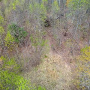 Photo #10 of Wares Gap Road, Monroe, VA 69.2 acres
