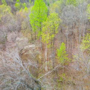 Photo #8 of Wares Gap Road, Monroe, VA 69.2 acres