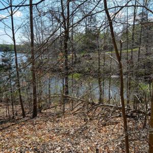 Photo #29 of 100 Waterway Court, Lynch Station, VA 0.7 acres