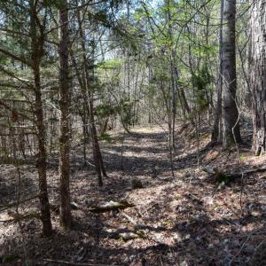 Photo #26 of 100 Waterway Court, Lynch Station, VA 0.7 acres
