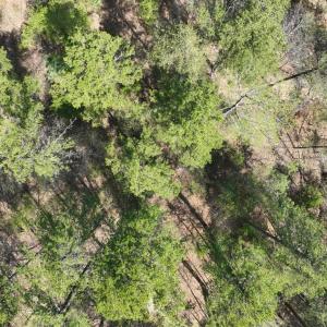 Photo #32 of 100 Waterway Court, Lynch Station, VA 0.7 acres