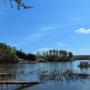 Photo #3 of 100 Waterway Court, Lynch Station, VA 0.7 acres