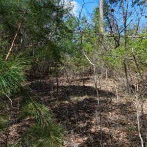 Photo #27 of 100 Waterway Court, Lynch Station, VA 0.7 acres